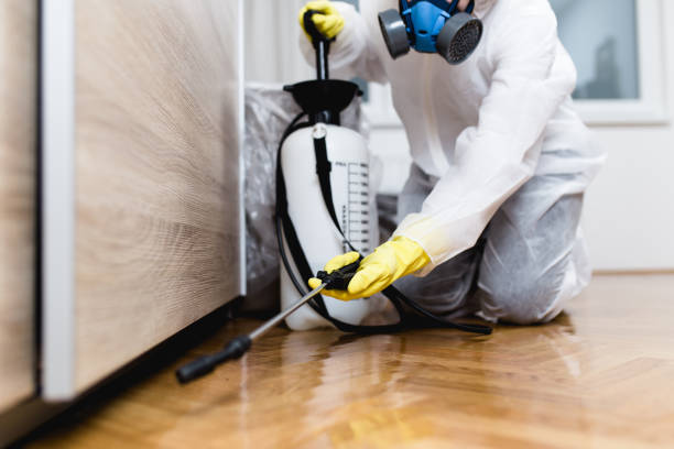 Reliable Henrietta, TX Pest Control Solutions