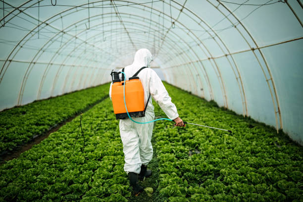 Best Best Pest Control Companies  in Henrietta, TX