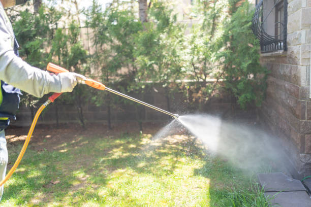 Best Flea Control Services  in Henrietta, TX