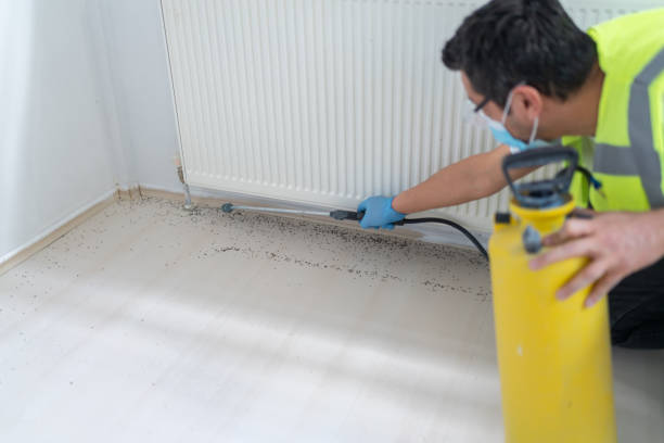 Best Exterminator Services  in Henrietta, TX