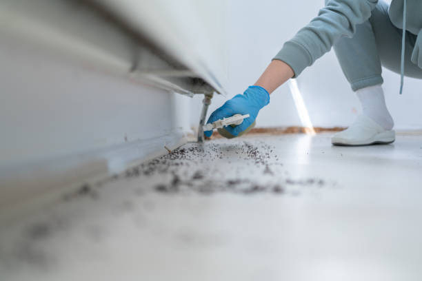 Best Cockroach Control Services  in Henrietta, TX